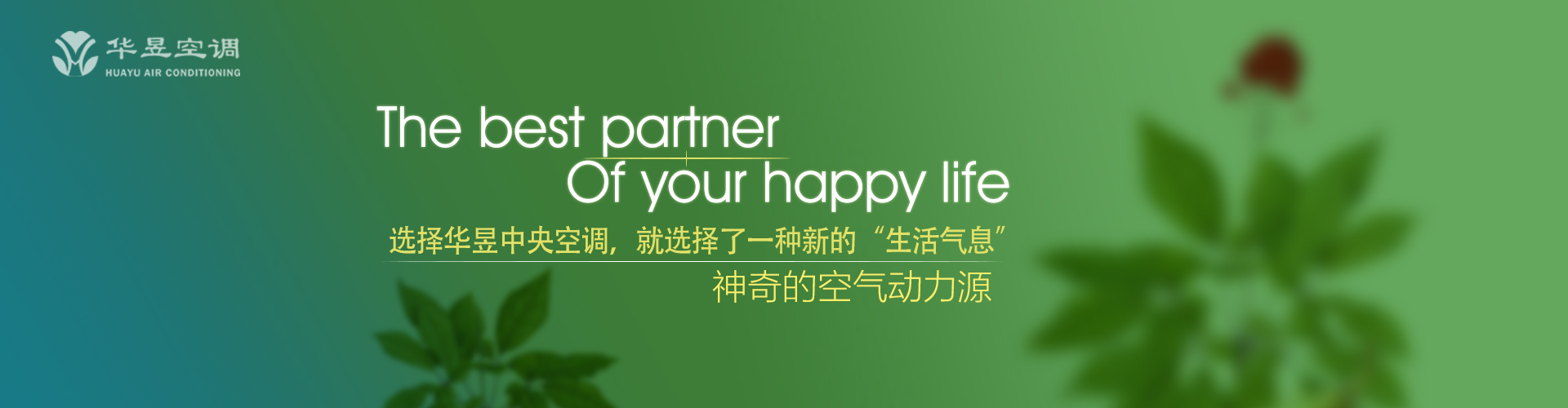 以桃代李网